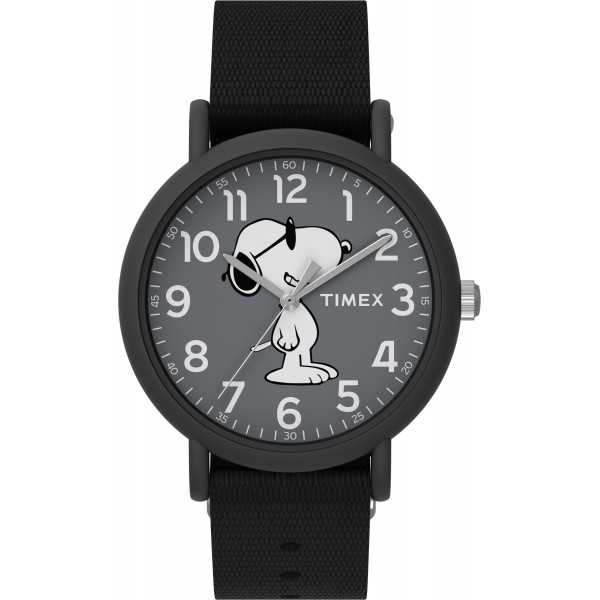 Men's watch Timex TW2T65700
